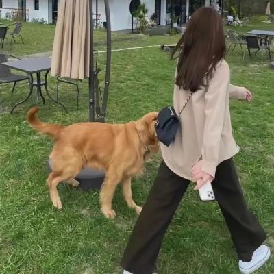 传教士第四季